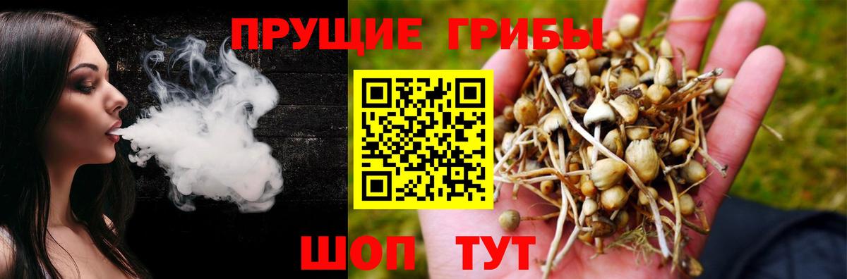 Галлюциногенные грибы мухоморы Белогорск
